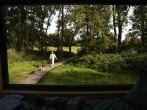 Through the window